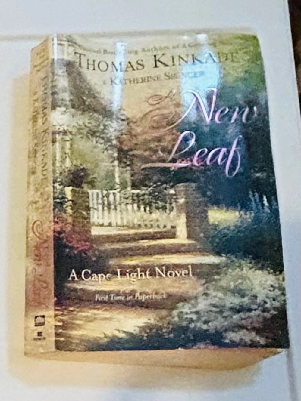 null New Leaf A Cap Light Novel Paperback